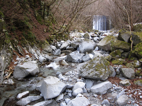 20200110hike (425)